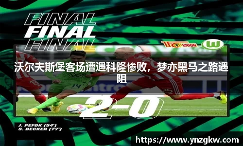 优游国际