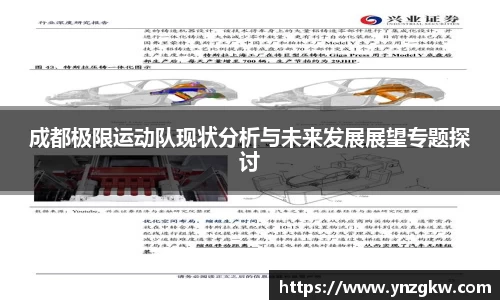 成都极限运动队现状分析与未来发展展望专题探讨