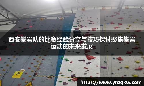 优游国际注册